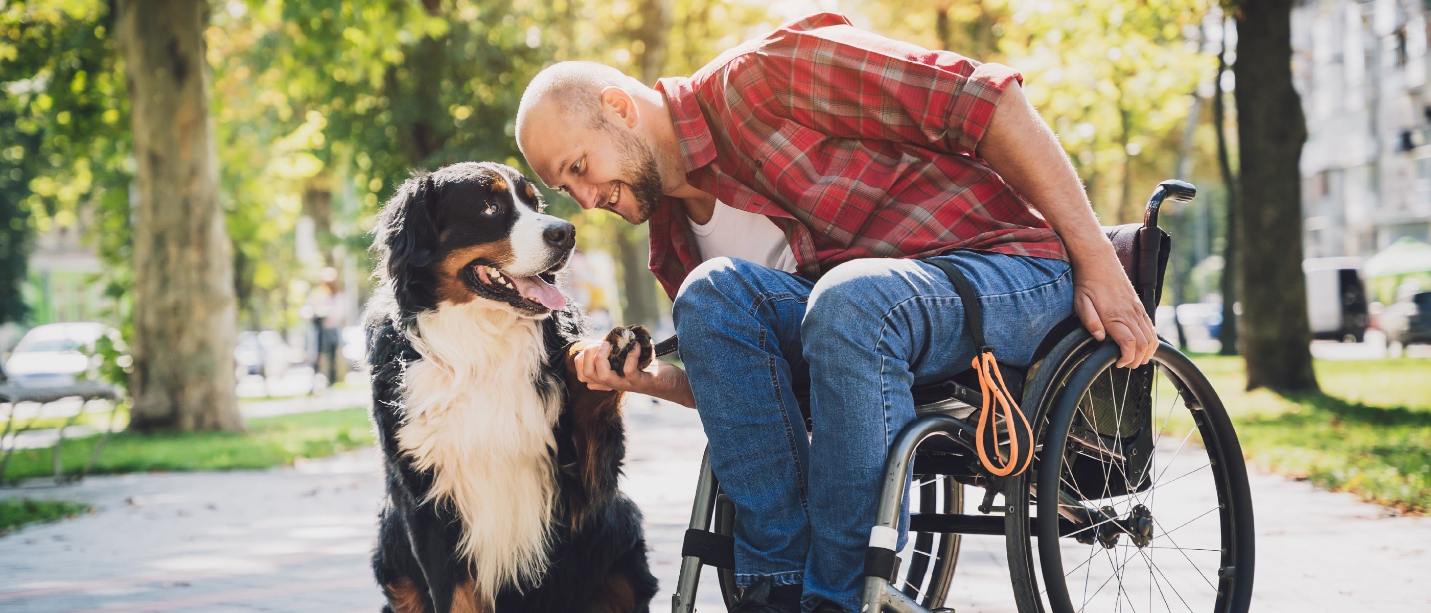 Man in wheelchair bonding with his dog